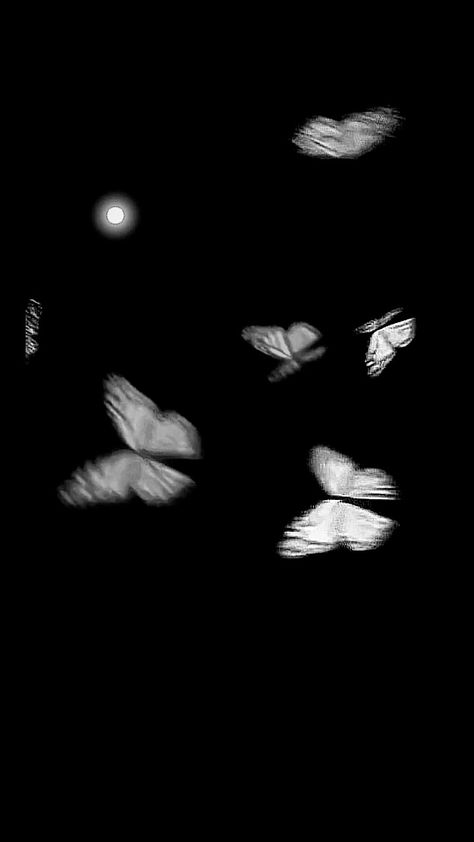 Butterflies In My Stomach Aesthetic, Skeleton Butterfly Wallpaper, Butterflies In Stomach Aesthetic, Skeleton Asthetic Picture, Y2k Black Aesthetic, Butterfly Vibe, Butterflies In Stomach, Butterfly Stomach, Butterflies In The Stomach