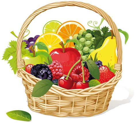 Fruit Basket Drawing, Fruit Basket Gift, Fruit Clipart, Basket Drawing, Food Gift Baskets, Fruit Cartoon, Fruits Drawing, Fruit Vector, Fruit Gifts