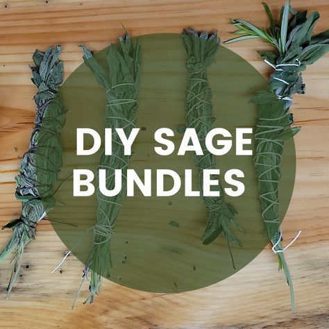 Sage Drawing Bundle, How To Make Sage Bundles Smudge Sticks, How To Make Your Own Sage Smudge Stick, Dried Sage Bundles, Sage Wands Diy, How To Bundle Sage, Making Sage Bundles, How To Make Sage Bundles For Smudging, How To Wrap Sage Smudge Sticks