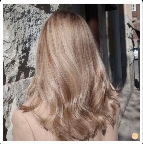 Blonde Cream Hair, Natural Blonde Hair Pale Skin, Medium Light Blonde Hair, Mink Blonde Hair, Natural Cool Blonde Hair, Dust Blonde Hair, Cool Honey Blonde Hair, Cream Brown Hair, Champagne Blonde Hair Balayage