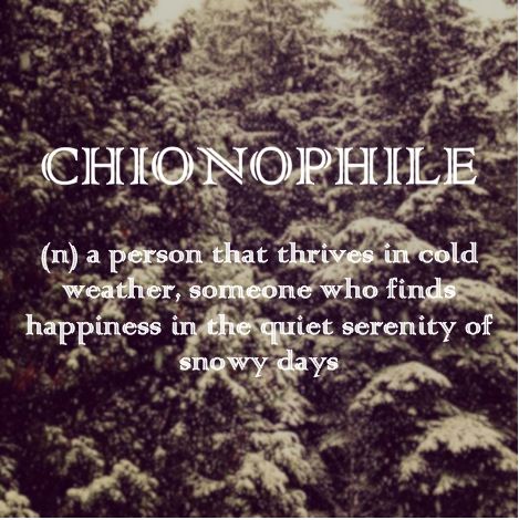 Chionophile - love the cold weather Cold Weather Quotes, Spine Tattoo Ideas, Cider House, Weather Quotes, 100 Tattoo, Unique Words Definitions, Uncommon Words, Tattoo Ideas For Men, Fancy Words