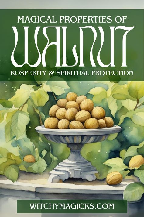 Explore the mystical properties of walnuts! Known for bringing prosperity and spiritual protection, walnuts are a powerful symbol in magic and folklore. Whether used in rituals, charms, or simply enjoyed as a snack, walnuts can enhance your spiritual journey and attract abundance. Embrace walnuts for prosperity and divine shielding.  #WalnutMagic #Prosperity #SpiritualProtection #MagicalProperties #Abundance #Folklore #SpiritualJourney #Walnuts #HerbalMagic #Herbs #Walnut #WitchyMagicks Walnut Magical Properties, Black Walnut Tree, Walnut Pesto, Walnut Ink, Attract Abundance, Herbal Magic, Mystical World, Spiritual Protection, Nutritious Snacks