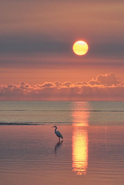 Ulsan, Evening Pictures, Beach Sky, Painting Beach, Image Nature, Sky Painting, Ocean Sunset, Foto Art, World Photography