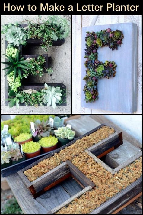 Letter Planter, Living Wall Diy, Living Wall Planter, Succulent Frame, Vertical Vegetable Garden, Vertical Gardens, Wall Garden, Landscaping Tips, Cactus Y Suculentas