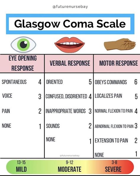 Nursing School Studying Cheat Sheets, Glasgow Coma Scale, Nurse Teaching, Nursing School Essential, Medical School Life, Nurse Study Notes, Nursing Mnemonics, Basic Anatomy And Physiology, Nursing Student Tips