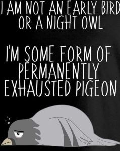 At this point of my life, I don’t think I’m a night owl OR an early bird.  I know for sure that I’ve never been an early bird.  The idea of waking up early in the morning puts absolute dread … Continue reading → The post A Permanently Exhausted Pigeon appeared first on Sidetracked Sisters . Permanently Exhausted Pigeon, Cool Messages, Tired Funny, Waking Up Tired, Bird Quotes, Night Owls, Teacher Memes, Hard Workers, Early In The Morning