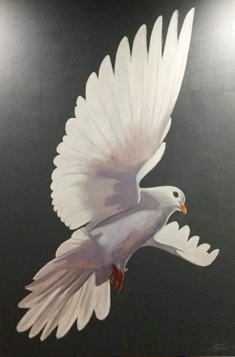 White Pigeon Painting, Dove Oil Painting, Abstract Dove Painting, Peace Drawing Ideas, Dove Paintings, Dove Bird Art, Doves Painting, White Bird Painting, Dove Sketches