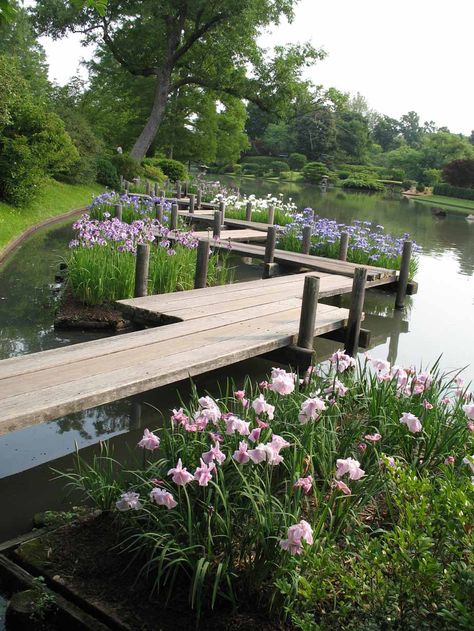 Lake Landscaping, Farm Pond, Natural Swimming Ponds, Swimming Pond, Pond Landscaping, Missouri Botanical Garden, Natural Swimming Pool, Pond Design, Garden Design Ideas