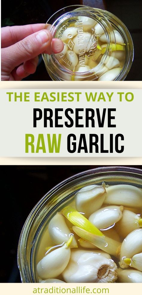 Marinated Garlic Cloves Recipes, How To Preserve Peeled Garlic, Canned Garlic Cloves, What To Do With Garlic Cloves, Storing Garlic Cloves, How To Preserve Garlic Cloves, Preserve Garlic Cloves, Canning Garlic Cloves, How To Preserve Fresh Garlic