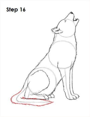 Wolf Art Drawing, Full Body Sketch, Wolf Drawing Easy, Draw A Wolf, Howling Dog, Animal Tutorial, Wolf Sketch, Girl Drawing Sketches, Body Sketches