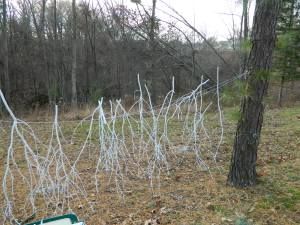 branches blanches Painting Sticks, Branch Ideas, Winter Branches, Painted Branches, Future Inspiration, White Branches, Winter Dance, Small Party, Winter Decoration