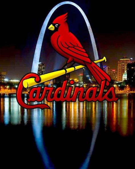 ❤ Cardinals!! St Louis Cardinals Wallpaper, Cardinals Wallpaper, St Louis Arch, Stl Cardinals, Cardinals Baseball, St Louis Cardinals, Cardinals, St Louis, Iphone 6