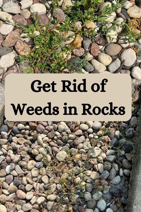 Kill Weeds Naturally, Killing Weeds, Garden Remedies, Garden Weeds, Garden Help, Garden Yard Ideas, Yard Work, Garden Bed, Landscape Ideas