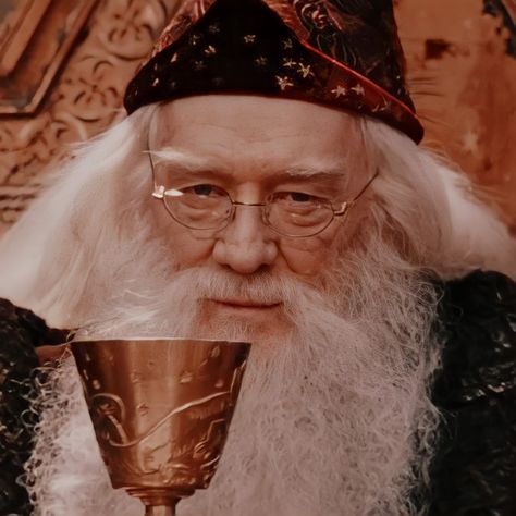 ☁️: albus dumbledore || icon || harry potter films || richard harris Hogwarts, Icon Harry Potter, Richard Harris, Gryffindor Aesthetic, Harry Potter Films, Albus Dumbledore, Harry Potter Characters, Harry Potter World, Wizarding World