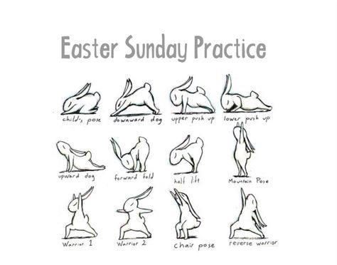 #Easter #Bunny #Yoga #Wanderlust Yoga+Music Fest. #v2Crystals Bunny Yoga, Upward Dog, Warrior Pose, Yoga Music, Downward Dog, Music Fest, Easy Yoga, Fat To Fit, Morning Yoga