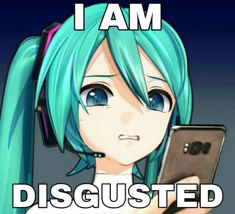 Image Meme, Miku Hatsune Vocaloid, Vocaloid Funny, Vocaloid Characters, Memes Anime, Silly Images, Anime Meme, Im Going Crazy, Very Funny Pictures