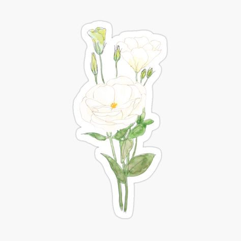 White Eustoma, Prairie Gentian, Gentian Flower, Ink And Watercolour, Watercolor Stickers, White Painting, Decoupage, Bullet Journal, Hand Painted