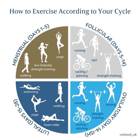 Cycle Syncing Your Workouts: How to Exercise According to Your Menstrual Cycle Low Impact Strength Training, Cycle Workout, Motivation To Exercise, Cycle Syncing, Hiit Class, Brisk Walking, Feminine Health, How High Are You, Happy Hormones