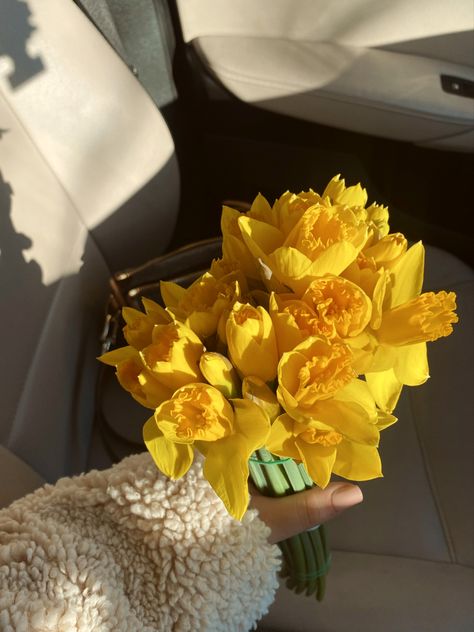 Aesthetic, aesthetic girl, daffodils, spring flowers, flower aesthetic, flowers in cars, 🌼 Daffodil Flower Aesthetic, Daffodil Bouquet, Aesthetic Flowers, Spring Is In The Air, Nothing But Flowers, Parts Of A Plant, Aesthetic Aesthetic, Daffodils, Adele