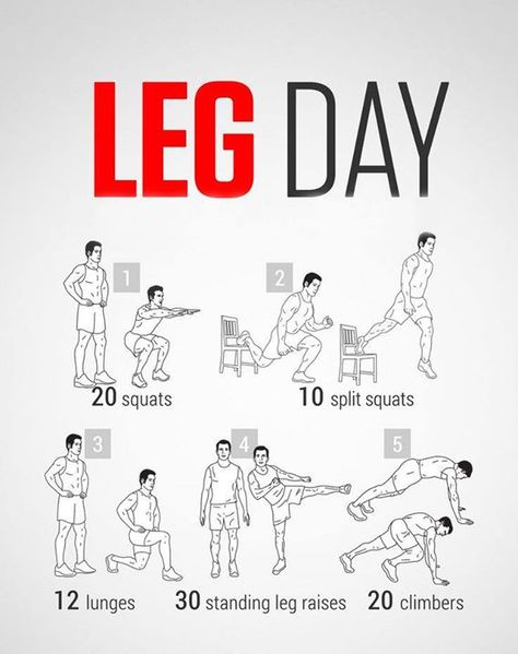 Work them legs! Leg Isolation Exercises, Leg Workouts, Leg Excersizes, Stamina Workout, Workout Program Gym, Calorie Workout, Gym Workout Planner, Leg Workout At Home, Plyometric Workout