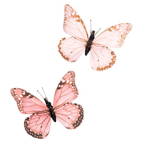 Butterfly Pics, Silhouette Butterfly, Butterflies Pink, Fall Clip Art, Rose Gold Butterfly, Sugar Cookie Royal Icing, Photo Editing Tools, Light Magic, Butterfly Watercolor