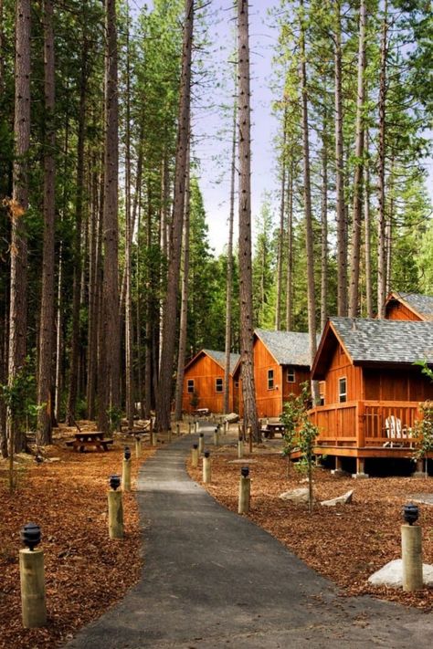 Forest aesthetic created by wood cabins along a path in the woods at Evergreen Lodge near Yosemite National Park. Part of a Yosemite Lodging Guide. Groveland California, Summer Slasher, Bungalow Camping, Camp Cabins, Carley Fortune, Yosemite Lodging, Village Family, Lodge Aesthetic, Summer Camp Aesthetic