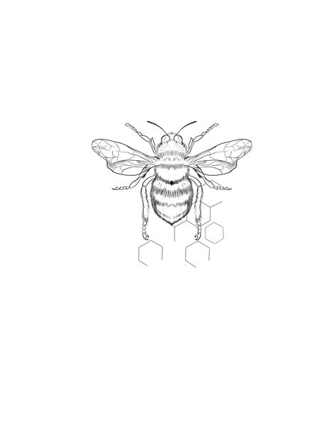 Bee Tattoo Designs Drawings, Colour Bee Tattoo, Simple Bee Tattoo Design, Linework Bee Tattoo, Bee Wings Tattoo, Seratonin Bee Tattoo, Abstract Bee Tattoo, Bee Tattoo Drawing, Geometric Bee Tattoo