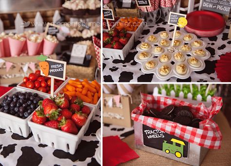 Aylah Turns 2 ~ A Farm Themed Birthday | Moments on the Blog Food Tables, Farm Themed Party, Barnyard Birthday Party, Farm Theme Birthday, Farm Animal Party, Farm Baby Shower, Farm Animals Birthday Party, Farm Themed Birthday Party, Barnyard Party