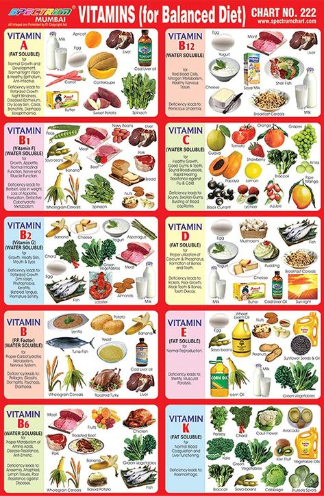 Vitamin Chart In Tamil Pdf Download - This Is About Life Balanced Diet Chart, Vitamin Charts, Healthy Food Chart, Vitamin Rich Foods, Vitamin C Foods, Vitamin A Foods, Nutrition Chart, Micro Nutrients, Diet Chart