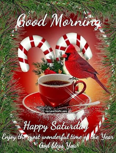 Happy Saturday Images, Saturday Greetings, Good Morning Christmas, Good Morning Winter, Morning Christmas, Weekend Greetings, Saturday Images, Good Morning Happy Saturday, Good Morning Saturday