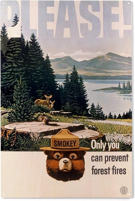 Amazon.com: Lantern Press 10x15 Inch Wood Sign, Ready to Hang Wall Decor, Smokey Bear, Please, Only You Can Help, Lake and Forest, Officially Licensed Vintage Poster : Home & Kitchen Lake And Forest, Chic Chalet, Photography Fabric, Bear Poster, Forest Vintage, Smokey The Bear, Smokey Bear, Graphic Design Is My Passion, Smokey The Bears