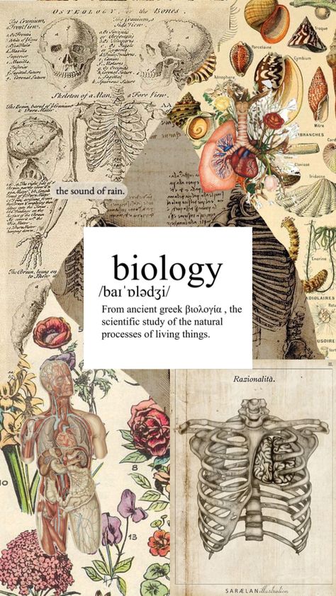 bio Instagram Bio For Science Students, Life Science Wallpaper, Science Wallpaper Biology Aesthetic, Studying Biology Aesthetic, Biomedical Science Aesthetic, Biology Aesthetic Wallpaper, Scientific Aesthetic, Biology Wallpaper, Bio Wallpaper