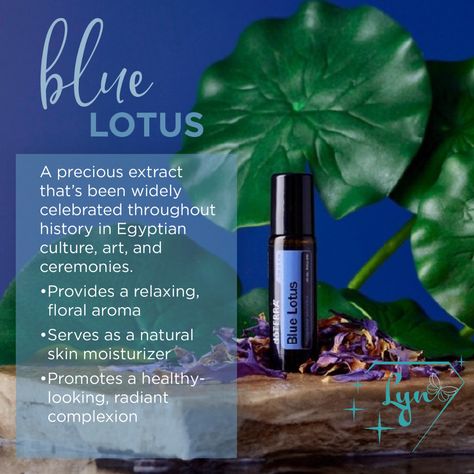 Doterra Blue Lotus, Blue Lotus Herb Benefits, Deep Blue Oil Doterra, Blue Lotus Essential Oil Benefits, Blue Lotus Tincture, Blue Lotus Oil, Essential Oil Remedy, Oil Remedies, Blue Lotus