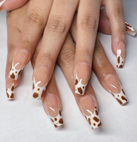 30 Beautiful Cow Print Nails Design You'll Definitely Love - in 2022 | Cow nails, Country acrylic nails, Rodeo nails https://www.pinterest.com/pin/30-beautiful-cow-print-nails-design-youll-definitely-love-in-2022--131519251609934289/ Nails Short Cow Print, Acrylic Cow Print Nails, Nails Acrylic Cow Print, Cow Print Nails Brown, Cow Print Nail Ideas, Print Nails Design, Country Nail Designs, Country Acrylic Nails, Rodeo Nails