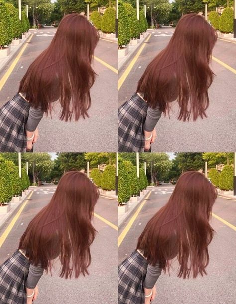 Strawberry Brown Hair Color, Strawberry Brown Hair, Orange Brown Hair, Ashy Hair, Brown Hair Color Shades, Hair Color Mahogany, Korean Hair Color, Hair Color Underneath, Ash Hair Color