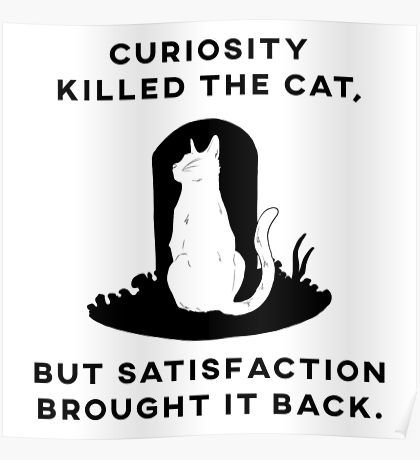 Curiosity Killed the Cat Poster Half Elf Bard, Punk Cats, Curiosity Killed The Cat, Young Johnny Depp, Punk Patches, Cat Poster, Mood Wallpaper, Posters For Sale, Bullet Journal Themes