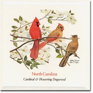 North Carolina State Flower and State Bird West Virginia Tattoo, West Virginia State Flower, Trout Painting, State Flowers, American Meadows, Flower Seeds Packets, Western Nc, Virginia State, Sea To Shining Sea