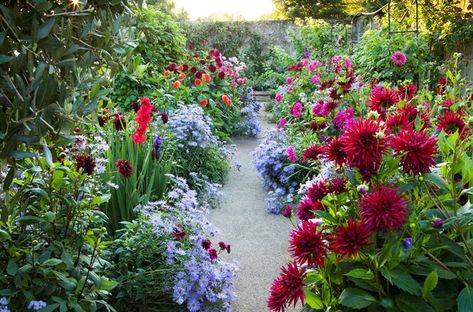 What a walkway! This garden path is surrounded by  late bloomers so they pick up where summer-flowering plants leave off, giving the garden a grand sendoff for winter. Plant Dahlias in spring, learn tips with our guide! Flower Garden Path, Dahlia Flower Garden, Summer Planting, Dubai Garden, English Garden Design, Dahlias Garden, Growing Dahlias, Flower Garden Design, Garden Path