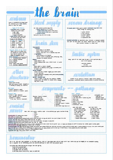 Goodnotes Revision Notes, Ipad Notes Psychology, Community Medicine Notes, Ipad Notes Aesthetic Psychology, Anatomy Of Brain Notes, Biology Notes On Ipad, Psychology Notes Aesthetic Digital, Goodnotes Notes Ideas Medicine, Class Notes Ipad