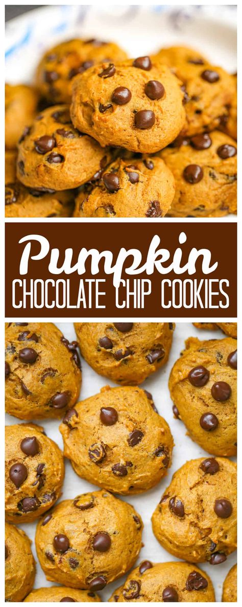 Old-Fashioned Pumpkin Chocolate Chip Cookies - Old-Fashioned Pumpkin Chocolate Chip Cookies like Grandma bakes! Biscuits Diététiques, Fall Baking Recipes, Chocolate Chip Cookies Recipe, Pumpkin Chocolate Chip Cookies, Pumpkin Chocolate Chip, Pumpkin Recipes Dessert, Pumpkin Chocolate Chips, Fall Dessert Recipes, Pumpkin Cookies