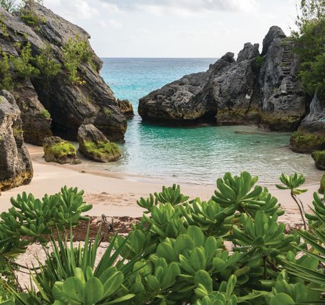 Jobson’s Cove, Bermuda - Jobson’s Cove is a mini version of nearby tourist darling Horseshoe Bay. Both are blanketed by blush-colored sand, and both boast calm, crystalline waters sheltered by jagged limestone and lava-rock cliffs. While Horseshoe Bay has seasonal lifeguards, umbrella rentals, and a snack stand, Jobson’s Cove lacks those amenities but makes up for them with quiet seclusion. Its small size gives it the feel of a private swimming hole stocked with tropical fish. If you’re brave, climb the steps carved into the beach’s high, rocky outcrops to take in the endless south-shore view—there’s almost nothing between here and Antarctica. Bermuda Beaches, Snack Stand, Horseshoe Bay, Swimming Hole, Colored Sand, Swimming Holes, South Shore, Lava Rock, Tropical Fish