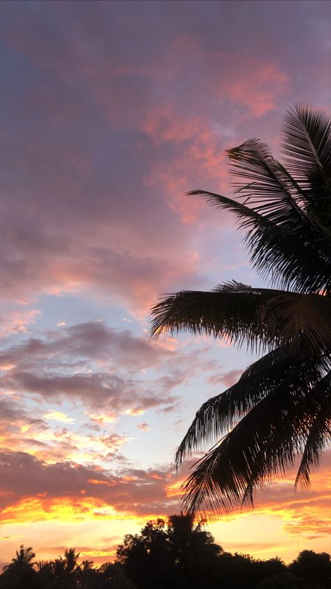 Sunset Philippines Aesthetic, Sunsets In Philippines, Aesthetic Tree Pictures, Natural Sky Pictures, Aesthetic Cloud Pics, Sky And Trees Aesthetic, Clouds With Trees, Pink Skies Aesthetic, Sky And Clouds Aesthetic