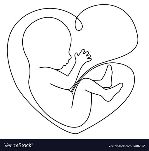 Baby In Womb Drawing, Ultrasound Drawing, Baby In Womb Art, Baby Line Drawing, Baby Line Art, Baby Memorial Tattoos, Baby In Womb, Fetal Position, Baby Silhouette