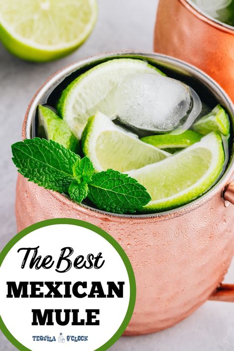 the best mexican mule recipe Tequila Moscow Mule, Tequila Mule Cocktails, Mexican Mule Cocktail, Texas Mule Cocktail, Grapefruit Mule, Mexican Mule Recipe, Tequila Mule, Mexican Mule, Mule Drink