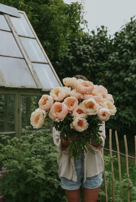 Bare-root Peony - King's Day - Buy online | FLOREA Grow Seeds, Gardening Aesthetic, Spring Gardening, Cut Flower Garden, Aesthetic Ideas, Flower Farm, Spring Garden, Dream Garden, Plant Life