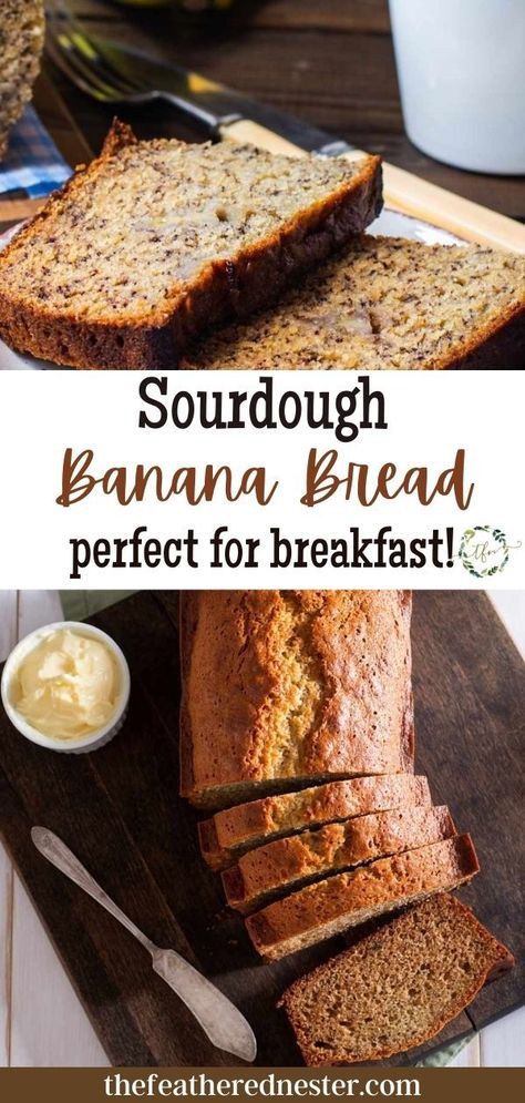 Sourdough Discard Banana Bread, Discard Banana Bread, Sourdough Discard Banana, Sourdough Banana Bread Recipe, Sourdough Banana Bread, Savory Rolls, Sourdough Banana, Easy Sourdough Bread Recipe, Best Banana Bread Recipe