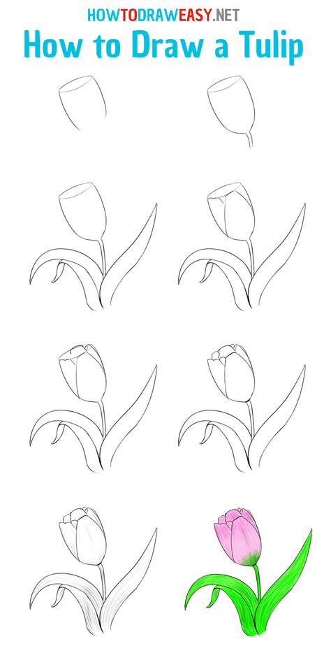 How to Draw a Tulip Step by Step #Tulip #Flower #EasyDrawing #Flowers #Tulips #Pink #Plants #Sketching #Sketch #DrawingTutorials #HowtoDraw #DrawingEasy #Rose Draw A Tulip, Tulip Flower Drawing, Tulip Tutorial, Tulip Drawing, Easy Flower Drawings, Pencil Drawings For Beginners, Flower Drawing Tutorials, Tulip Painting, Flower Art Drawing