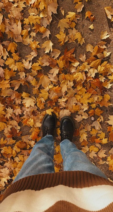 Fall Details Aesthetic, Brianna Season, Brandy Melville Brianna Sweater, Brianna Sweater, Cosy Fall, Leaves Changing Color, Aesthetic Objects, Fall Mood Board, Deep Autumn