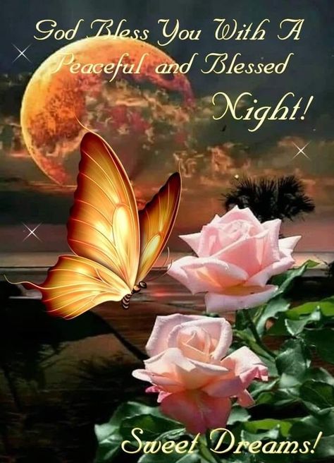 Sweet Dreams Pictures, Have A Blessed Night, Good Night Blessings Quotes, Good Night All, Good Night Prayer Quotes, Night Love Quotes, Lovely Good Night, Blessed Night, Beautiful Good Night Quotes