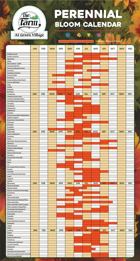 Bloom-Calendar-Perennials-30×48—Updated-May-2021 Plant By Numbers Gardens, Bloom Calendar, Plant Diagram, Growing Calendar, Flower Planting, Companion Planting Vegetables, Flower Calendar, Planting Calendar, Homestead Life